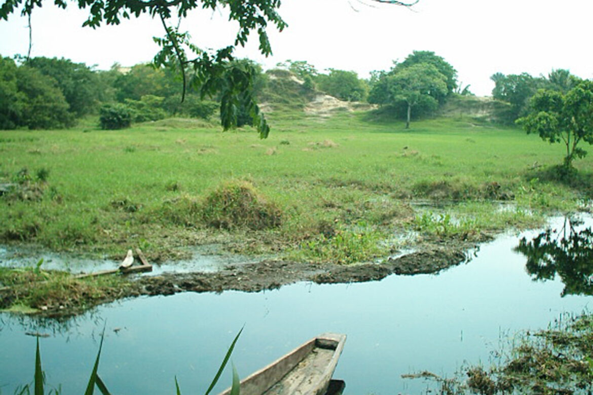 Plan de manejo ambiental del complejo Cenagoso de Chiqueros y su área de influencia en el municipio de Puerto Berrío – Antioquia